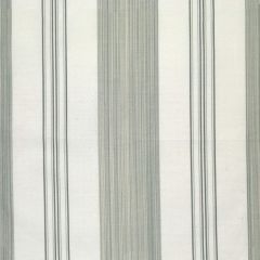 Scalamandre Astor Stripe Celadon SC 000426982 Belle Jardin Collection Multipurpose Fabric