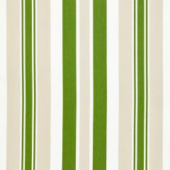 Scalamandre Mayfair Cotton Stripe Summer Lawn SC 000427112 Chatham Stripes & Plaids Collection Multipurpose Fabric