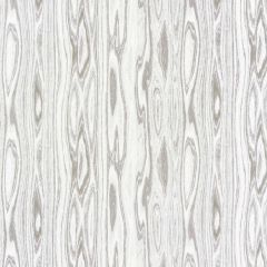 Scalamandre Faux Bois Weave Ash SC 000427142 Modern Luxury Collection Multipurpose Fabric