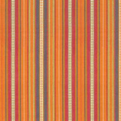 Scalamandre Nile Stripe Summer Citrus SC 000427253 Sahara Collection Multipurpose Fabric