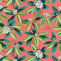 Scalamandre Rhododendron - Outdoor Flamingo SC 000516454M Coast To Coast Collection Upholstery Fabric