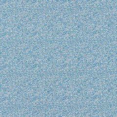 Scalamandre Shagreen Delft SC 000526914M Oriana Collection Multipurpose Fabric