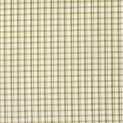 Scalamandre Astor Check Leaf SC 000526983 Belle Jardin Collection Multipurpose Fabric