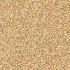 Scalamandre Shagreen Beige SC 000626914M Oriana Collection Multipurpose Fabric