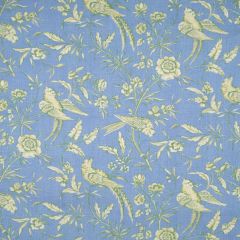 Scalamandre Aviary Sky SC 000816352 Multipurpose Fabric