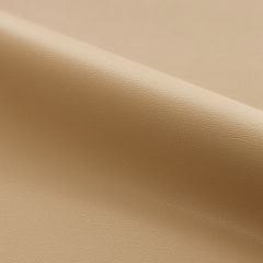 Scalamandre Clark - Outdoor Latte SC 000827263 Fundamentals - Contract Collection Upholstery Fabric