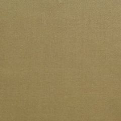 Scalamandre Dynasty Taffeta Coffee SC 001036383 Essential Silks Collection Multipurpose Fabric