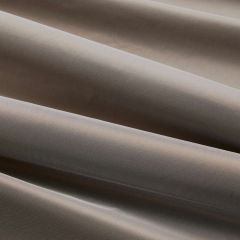 Scalamandre Olympia Silk Taffeta Stone SC 001227250 Silk Spectrum Collection Drapery Fabric