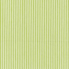 Scalamandre Kent Stripe Pear SC 001236395 Chatham Stripes & Plaids Collection Multipurpose Fabric
