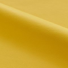 Scalamandre Lucille - Outdoor Goldenrod SC 001327258 Fundamentals - Contract Collection Upholstery Fabric