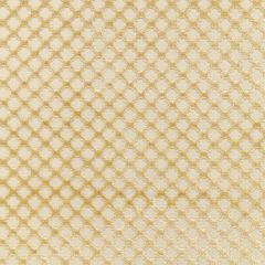 Scalamandre Pomfret Sisal SC 001526692M Botanica Collection Multipurpose Fabric