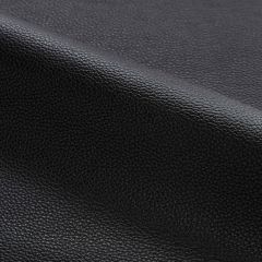 Scalamandre Lucille - Outdoor Onyx SC 001527258 Fundamentals - Contract Collection Upholstery Fabric