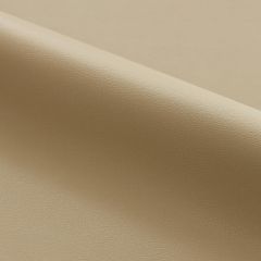 Scalamandre Clark - Outdoor Taupe SC 001627263 Fundamentals - Contract Collection Upholstery Fabric