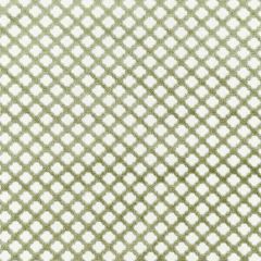 Scalamandre Pomfret Green Tea SC 001726692M Botanica Collection Multipurpose Fabric