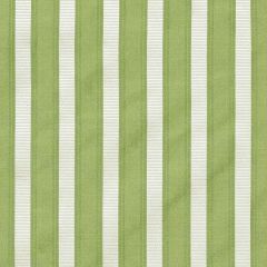 Scalamandre Shirred Stripe Fern SC 0019121M Silk Spectrum Collection Multipurpose Fabric