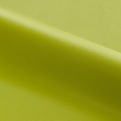 Scalamandre Clark - Outdoor Leek SC 002627263 Fundamentals - Contract Collection Upholstery Fabric