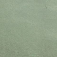 Scalamandre Dynasty Taffeta Pool SC 002636383 Essential Silks Collection Multipurpose Fabric