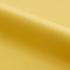 Scalamandre Clark - Outdoor Goldenrod SC 002727263 Fundamentals - Contract Collection Upholstery Fabric