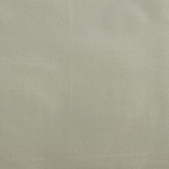 Scalamandre Dynasty Taffeta Celadon SC 002736383 Essential Silks Collection Multipurpose Fabric