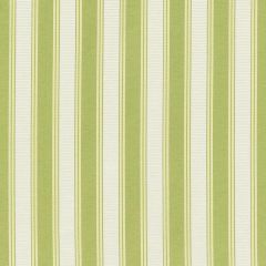 Scalamandre Shirred Stripe New Leaf SC 0031121M Silk Spectrum Collection Multipurpose Fabric