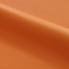 Scalamandre Clark - Outdoor Mesa SC 003127263 Fundamentals - Contract Collection Upholstery Fabric