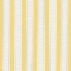 Scalamandre Shirred Stripe Sunray SC 0032121M Silk Spectrum Collection Multipurpose Fabric