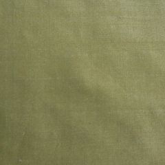 Scalamandre Dynasty Taffeta Olive SC 003436383 Essential Silks Collection Multipurpose Fabric