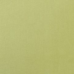 Scalamandre Toscana Linen Lettuce SC 004527108 Essential Linens Collection Multipurpose Fabric