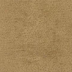 Stout Slater Harvest 1 Comfortable Living Collection Upholstery Fabric