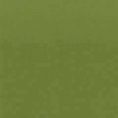 Stout Stanford Lime 14 A La Mode Collection Multipurpose Fabric