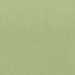 Stout Stanford Pear 22 A La Mode Collection Multipurpose Fabric