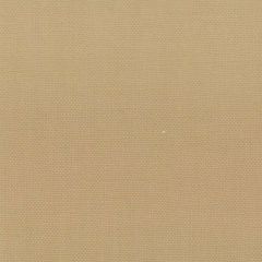 Stout Stanford Raffia 23 A La Mode Collection Multipurpose Fabric