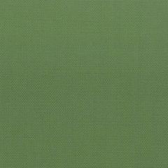 Stout Stanford Grass 27 A La Mode Collection Multipurpose Fabric