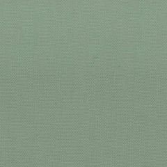 Stout Stanford Aloe 28 A La Mode Collection Multipurpose Fabric