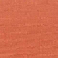 Stout Stanford Shrimp 41 A La Mode Collection Multipurpose Fabric