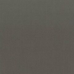 Stout Stanford Shadow 53 A La Mode Collection Multipurpose Fabric