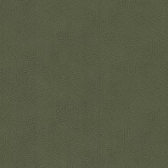 Stout Steeplechase Dill 2 Leather Looks Collection Upholstery Fabric