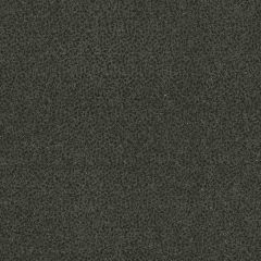 Stout Tapdance Charcoal 3 Kai Peninsula Collection Multipurpose Fabric