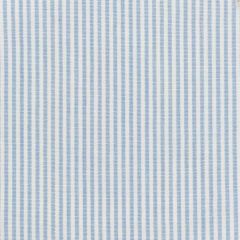Stout Tarkington Starlight 2 Just Stripes Collection Multipurpose Fabric