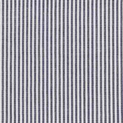 Stout Tarkington Indigo 3 Just Stripes Collection Multipurpose Fabric