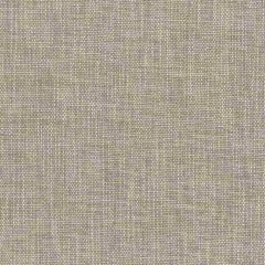 Stout Teagrass Aluminum 1 Marcus William Collection Upholstery Fabric