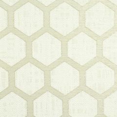 Stout Tibble Bamboo 1 Color My Window Collection Drapery Fabric
