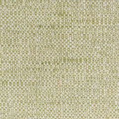 Stout Tiffany Pear 1 Living Is Easy Collection Upholstery Fabric