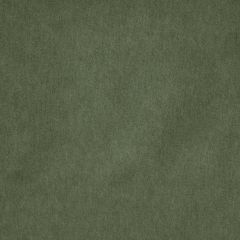 Stout Wadsworth Evergreen 10 Kai Peninsula Collection Upholstery Fabric