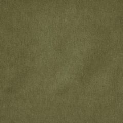 Stout Wadsworth Avocado 21 Kai Peninsula Collection Upholstery Fabric