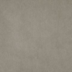 Stout Wadsworth Fog 29 Kai Peninsula Collection Upholstery Fabric