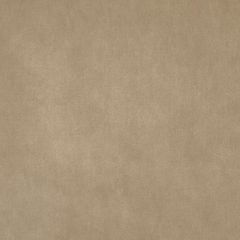 Stout Wadsworth Beige 32 Kai Peninsula Collection Upholstery Fabric