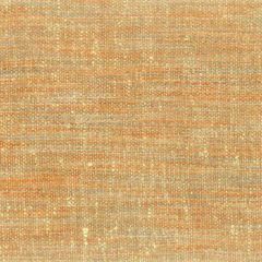 Stout Wayne Cinnamon 1 Comfortable Living Collection Multipurpose Fabric