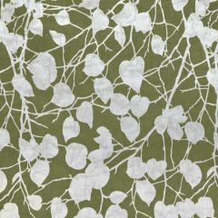 Stout Whitehall Grass 9 Kai Peninsula Collection Multipurpose Fabric