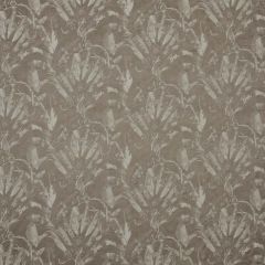 Stout Wilamut Acorn 5 Kai Peninsula Collection Multipurpose Fabric